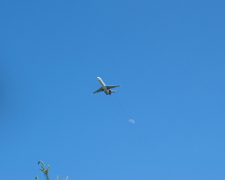 airplane-and-moon_19627254_o.jpg