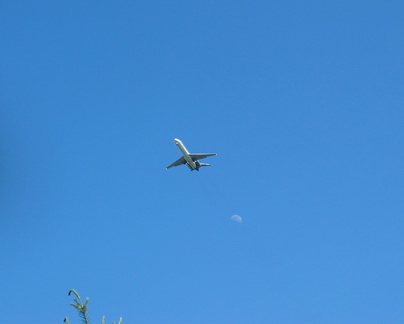 airplane-and-moon 19627254 o