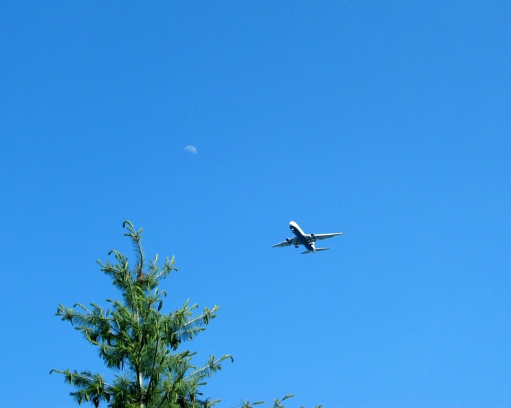 airplane-and-moon_19627276_o.jpg