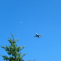 airplane-and-moon 19627276 o