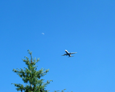 airplane-and-moon 19627276 o