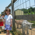 cora-and-a-nanny-goat 21712509 o