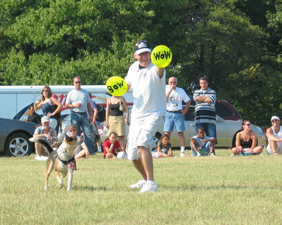 frisbee-dog 42161421 o