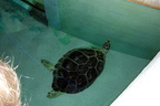 aquarium-fieldtrip 2277557313 o