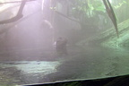 aquarium-fieldtrip 2277559327 o