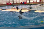 aquarium-fieldtrip 2277560759 o