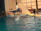 aquarium-fieldtrip 2277561189 o
