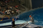 aquarium-fieldtrip 2277565117 o