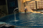 aquarium-fieldtrip 2277566575 o