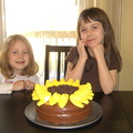 sunflower-cake 2364273937 o