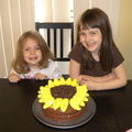 sunflower-cake 2364274729 o