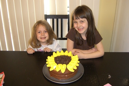 sunflower-cake 2364274729 o