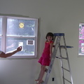 ladder-paint-6yowhat-could-go-wrong 2671667253 o