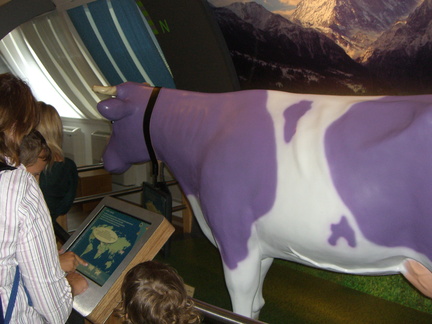 purple-cow 2794990651 o