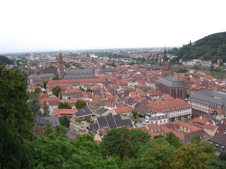 view-of-heidelberg-from-the-castle_2794248348_o.jpg