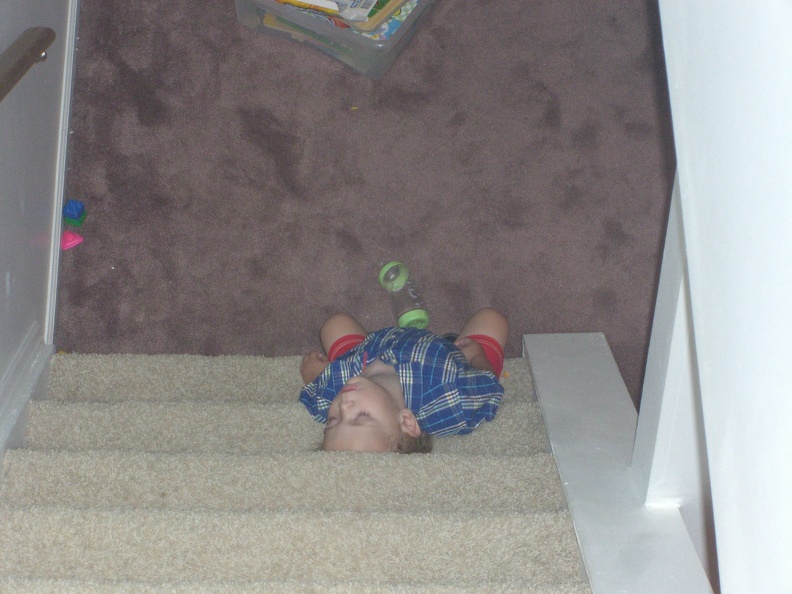 fallen-asleep-on-the-stairs_2881147230_o.jpg