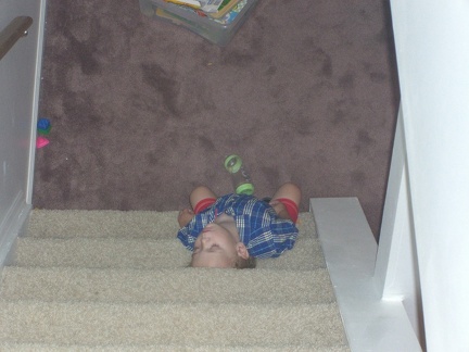 fallen-asleep-on-the-stairs 2881147230 o
