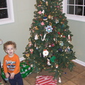 christmas-tree 3137176672 o