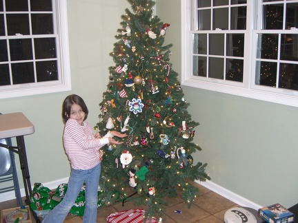 presenting-the-christmas-tree 3136352633 o