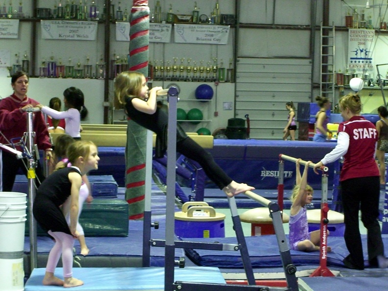 pull-ups-on-the-uneven-bars_3307766861_o.jpg