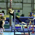 pull-ups-on-the-uneven-bars 3307766861 o
