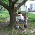 climbing-the-tree 3561828698 o