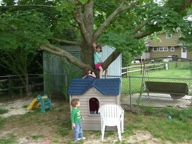 using-a-house-to-climb-the-tree_3561012719_o.jpg