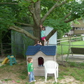 using-a-house-to-climb-the-tree 3561012719 o
