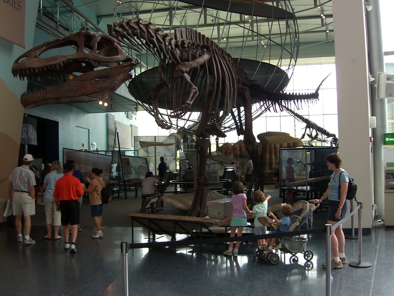 colemans-and-dinosaurs_3723186587_o.jpg