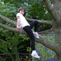 cora-poses-in-a-tree 4055993247 o