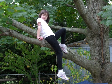 cora-poses-in-a-tree 4055993247 o