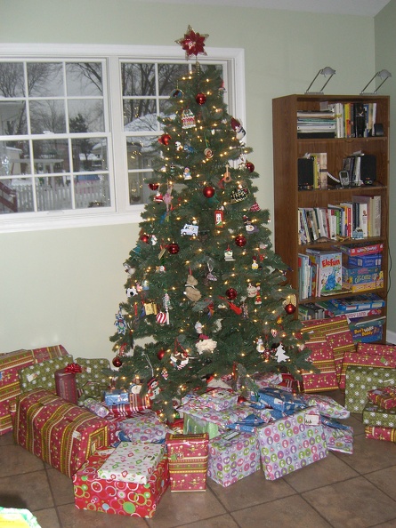 loaded-christmas-tree_4232935793_o.jpg