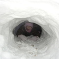 callie-in-her-tunnel 4336386234 o