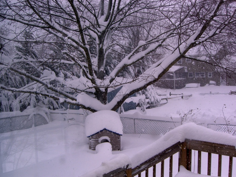 two-feet-of-snow-on-the-playhouse_4336384998_o.jpg