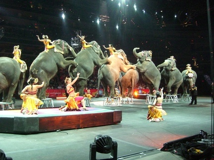 circus-elephants 4448887141 o