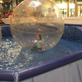callie-in-the-ball-at-the-mall 5022164790 o