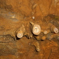 stalactite-cross-section 4965242843 o
