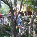 cameron-climbs-a-tree-while-his-sisters-ride-the-swings 5069873749 o