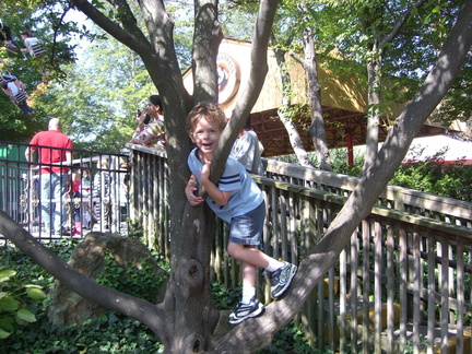 cameron-climbs-a-tree-while-his-sisters-ride-the-swings 5069873749 o