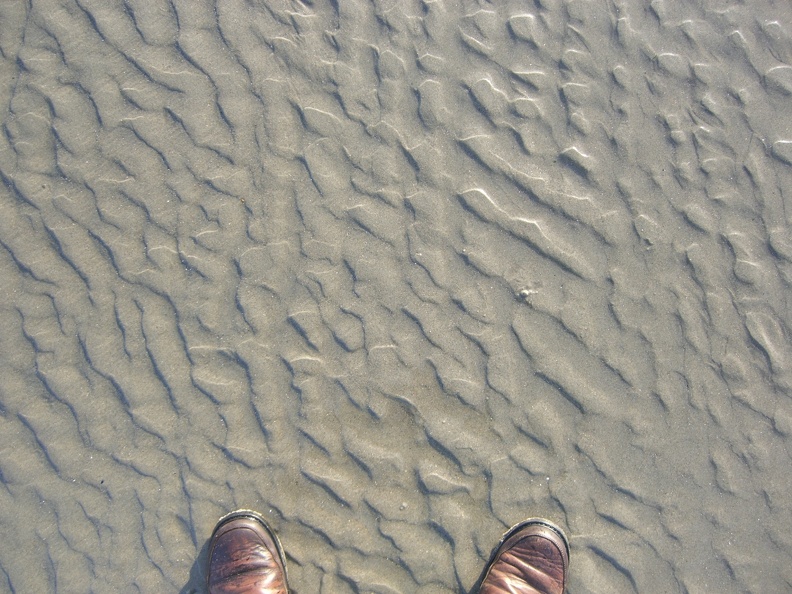 wild-ripple-pattern-in-the-low-tide-sand 5203272288 o