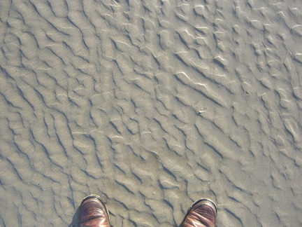 wild-ripple-pattern-in-the-low-tide-sand 5203272288 o