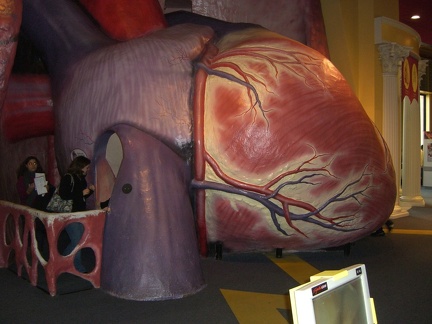 gigantic-human-heart 5253506116 o