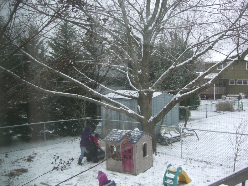 snow-day-in-the-backyard_5352680571_o.jpg