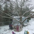 snow-day-in-the-backyard 5352680571 o