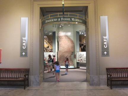 smithsonian-natural-history-museum 6070433457 o