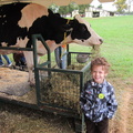 poses-with-a-cow-then-milks-it_6209175147_o.jpg