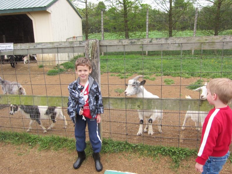 cam-and-the-goats_6958759592_o.jpg