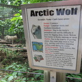 arctic-wolf 7390246028 o