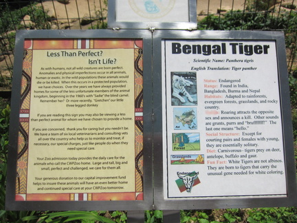 bengal-tiger 7390217096 o