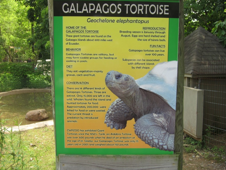 galapagos-tortoise_7390186216_o.jpg
